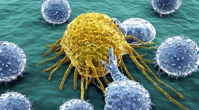 Kanser Hücreleri Kendilerini Yavaşlatabiliyor!