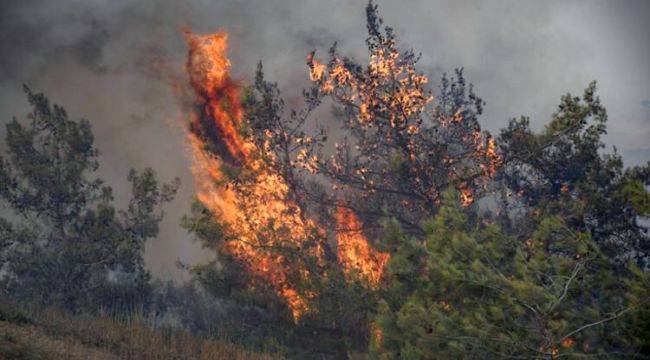 Orman yangınları solunum sağlığı için de büyük tehdit!