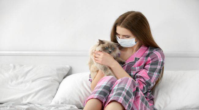 Alerji Aşısı Sayesinde Kedili Bir Yaşam Artık Mümkün