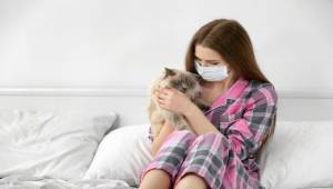Alerji Aşısı Sayesinde Kedili Bir Yaşam Artık Mümkün