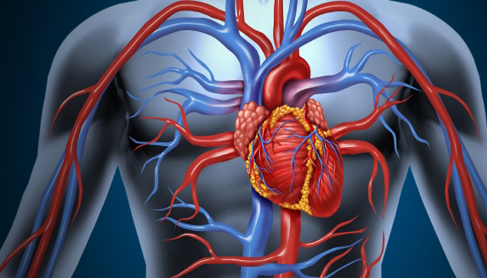 Kalp damar hastalıklarında hayat kurtaran üçgen: İlaç-Stent-Bypass